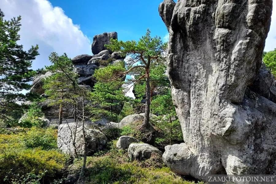 Pokoje U Filipa Kudowa-Zdrój Extérieur photo