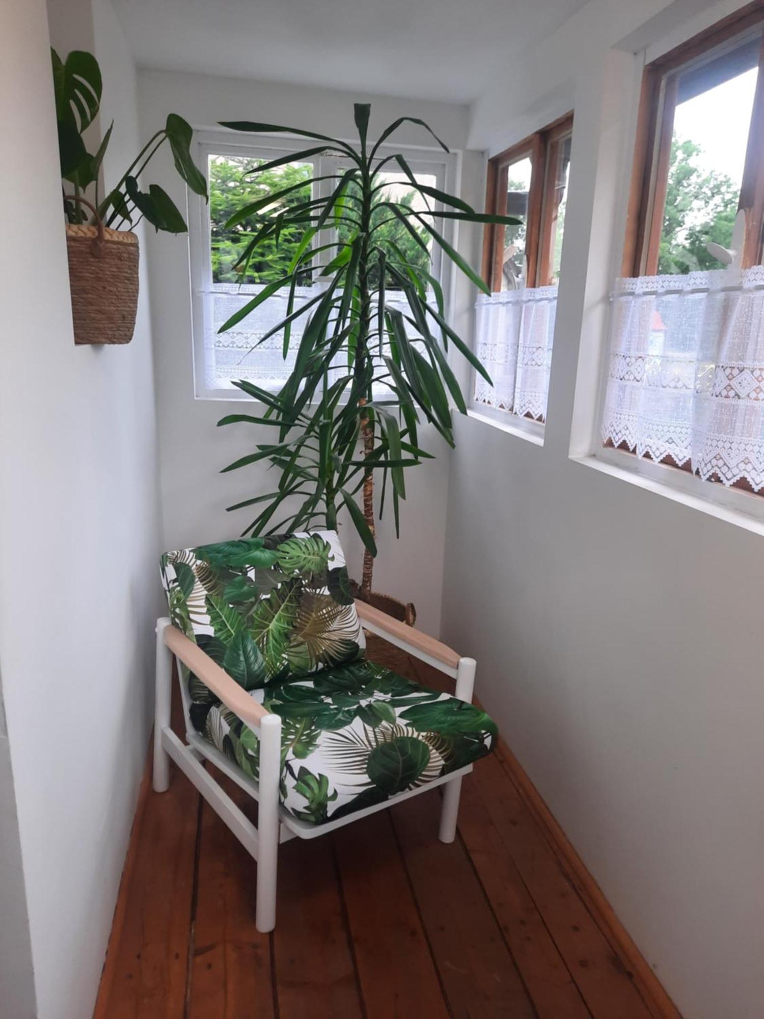 Pokoje U Filipa Kudowa-Zdrój Extérieur photo